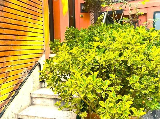 Casa de hóspedes Elegant Parioli 3*